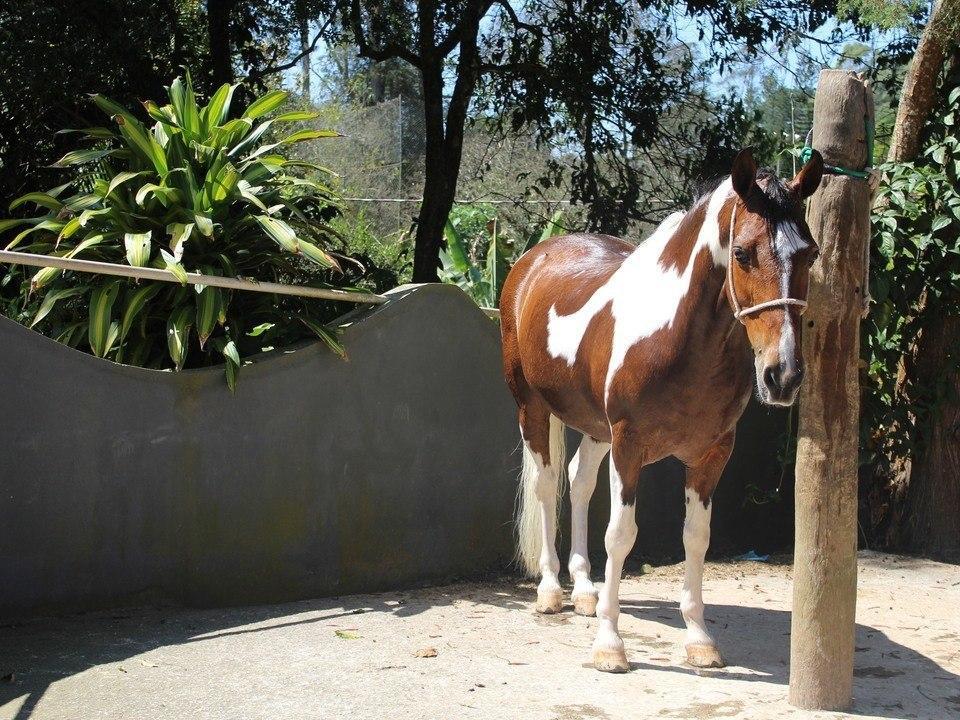 Hotel Fazenda Apm Caieiras Zewnętrze zdjęcie